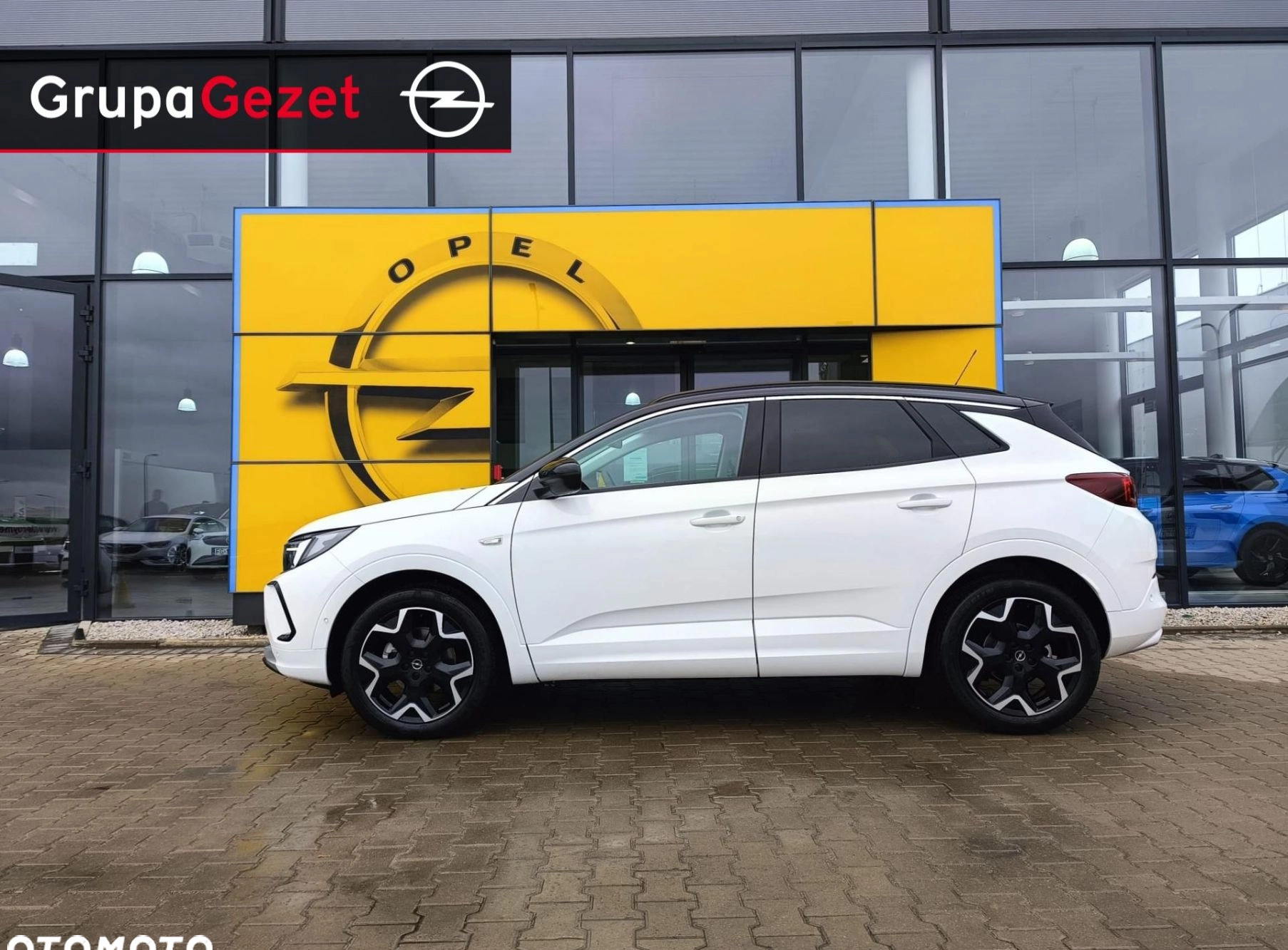 Opel Grandland cena 135990 przebieg: 5, rok produkcji 2024 z Tarczyn małe 121